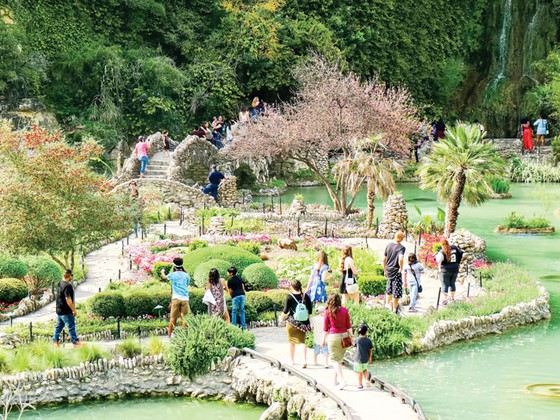 Ốc đảo nơi khô cằn ảnh 5