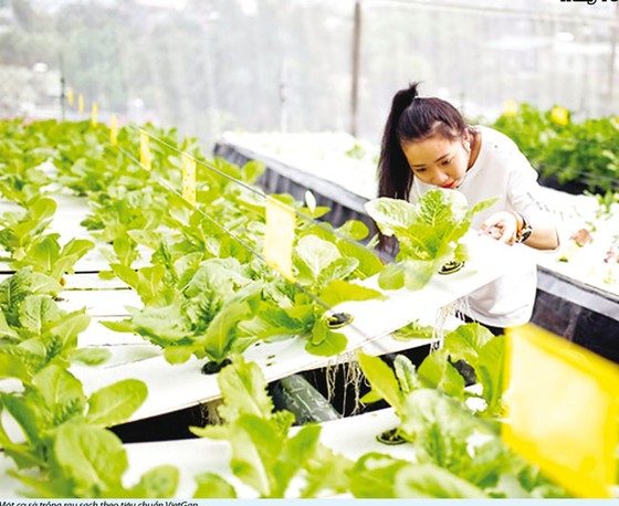 Ngành nông nghiệp hữu cơ: Vẫn loay hoay trong thế khó ảnh 1