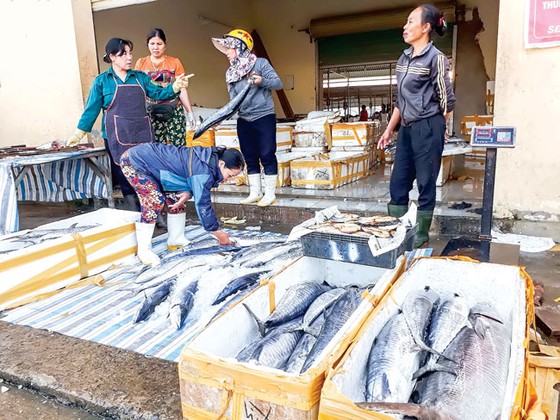 Nhộn nhịp làng biển vào hè ảnh 3