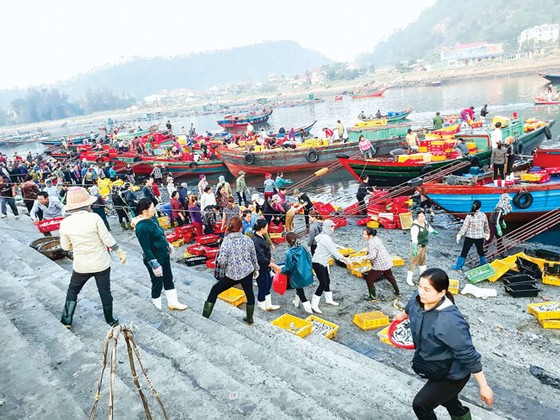 Nhộn nhịp làng biển vào hè ảnh 5