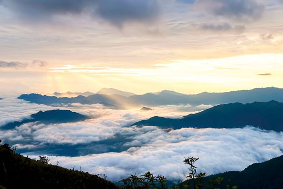Chinh phục núi Tà Xùa ảnh 1