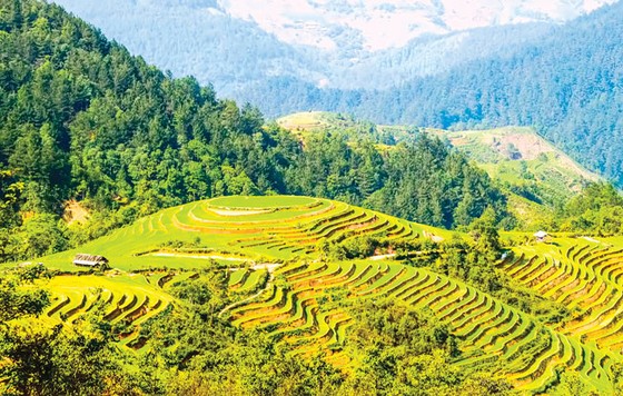 Chinh phục núi Tà Xùa ảnh 10