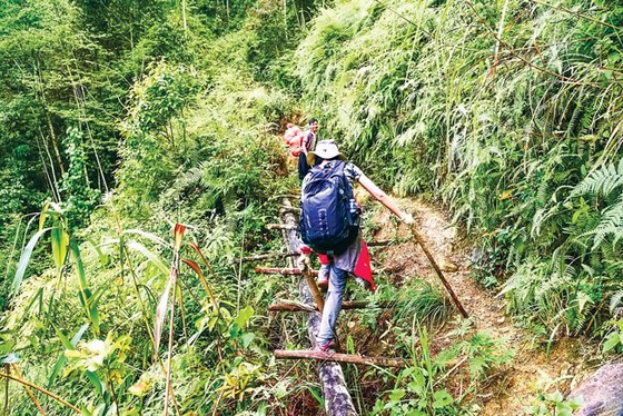 Chinh phục núi Tà Xùa ảnh 11