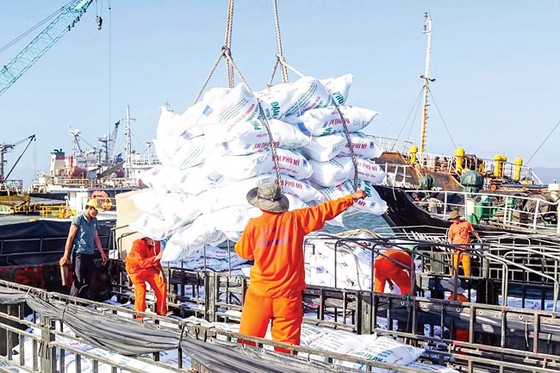 DPM tiếp tục gây thất vọng ảnh 1