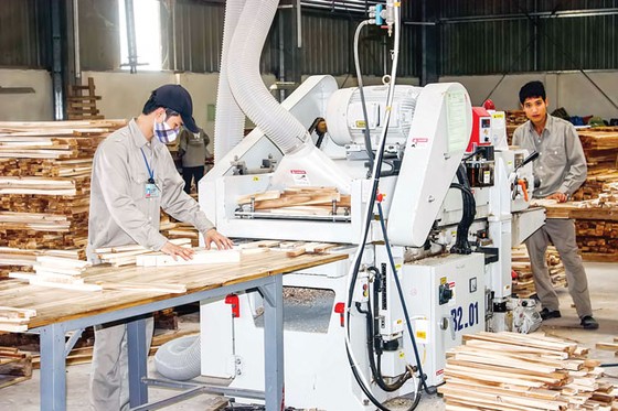 Doanh nghiệp tư nhân: Khó lớn vì đói vốn ảnh 2