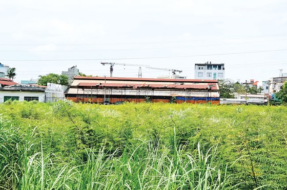 Đoạn đường hơn 1km, 4 khu đất công bỏ hoang ảnh 1