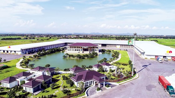 AAA Tham vọng doanh nghiệp “xanh” toàn cầu ảnh 3