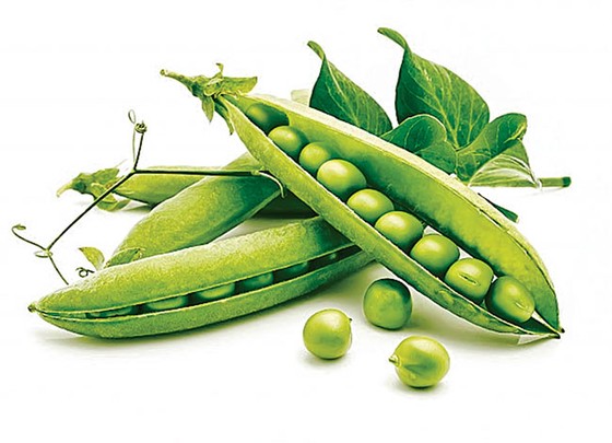 Bài thuốc với thực phẩm thông dụng ảnh 2