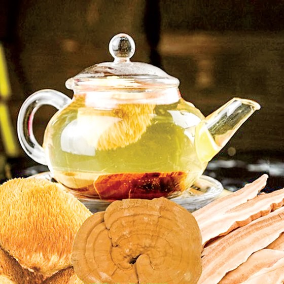 Nấm linh chi và các chế phẩm từ linh chi ảnh 1