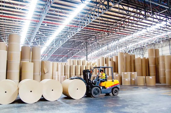 Thờ ơ vấn nạn xâm phạm SHTT ảnh 1