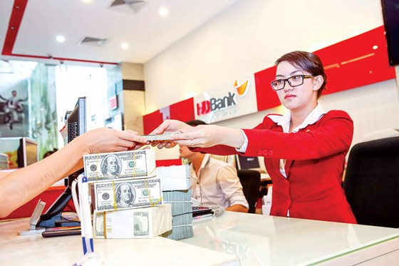 Vẫn lo ngại sức ép tỷ giá ảnh 1