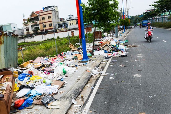 Đau đầu vấn nạn xả rác bừa bãi ảnh 2