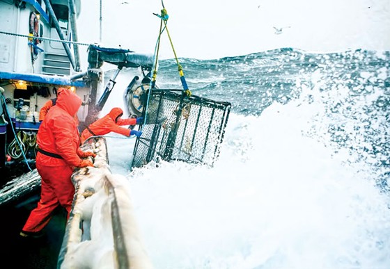Alaska kho báu nước Mỹ ảnh 10