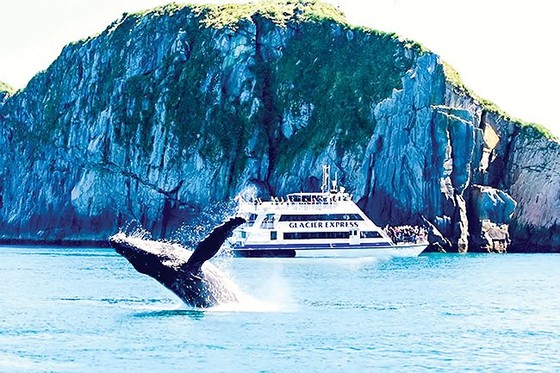 Alaska kho báu nước Mỹ ảnh 6