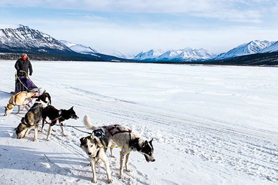 Alaska kho báu nước Mỹ ảnh 9