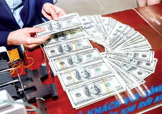Rủi ro tín dụng ngoại tệ ảnh 1