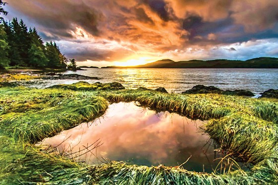 Alaska, điểm du lịch hấp dẫn ảnh 7