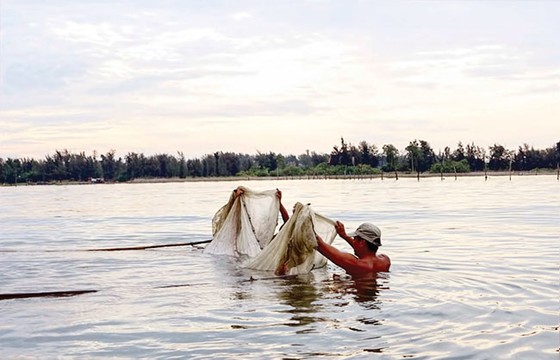 Săn cá tiến vua ảnh 1