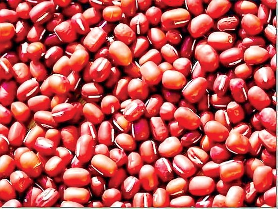 Thanh lọc cơ thể bằng các loại đậu ảnh 1