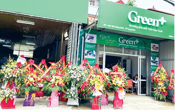 Thanh lọc cơ thể bằng các loại đậu ảnh 4