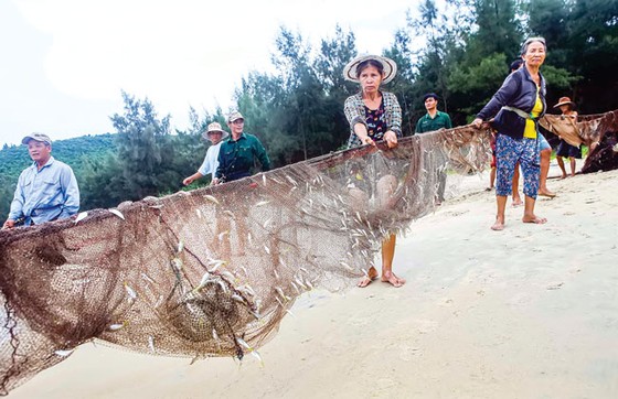 Kéo lưới rồng ảnh 2