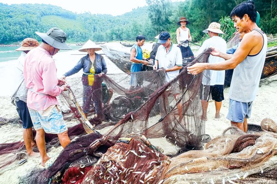 Kéo lưới rồng ảnh 4