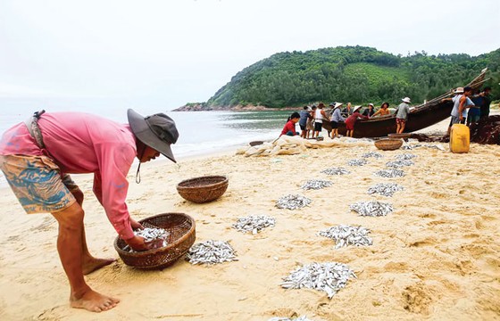 Kéo lưới rồng ảnh 5