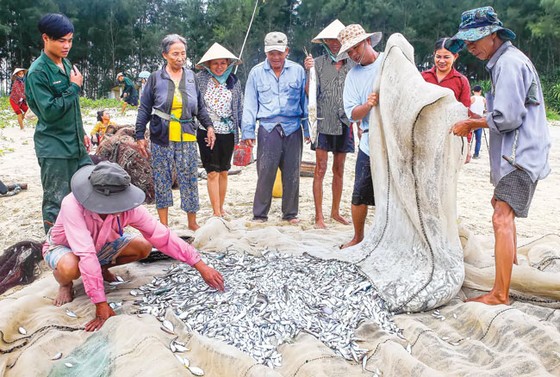 Kéo lưới rồng ảnh 6