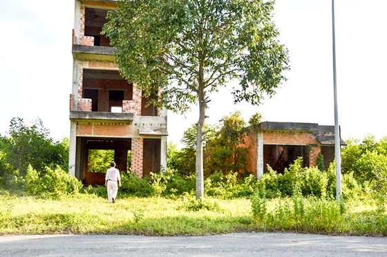 Cầu Cát Lái cứu đô thị Nhơn Trạch? ảnh 2