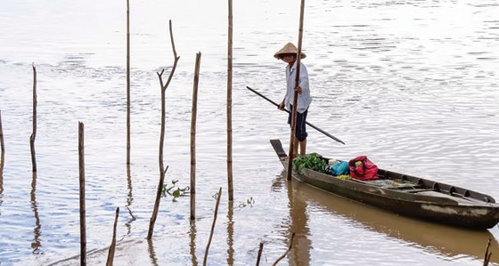 Đặt lọp đồng xa ảnh 1