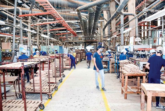 Gỗ xuất khẩu phải minh bạch xuất xứ ảnh 1