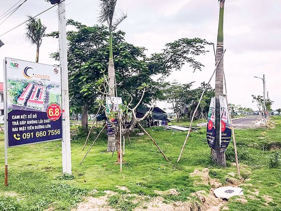 Bà Rịa - Vũng Tàu dừng dự án phân lô, bán nền ảnh 1