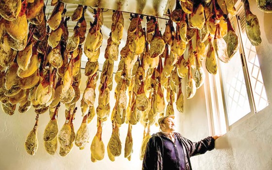 Tây Ban Nha kiểm soát chăn nuôi heo ảnh 1