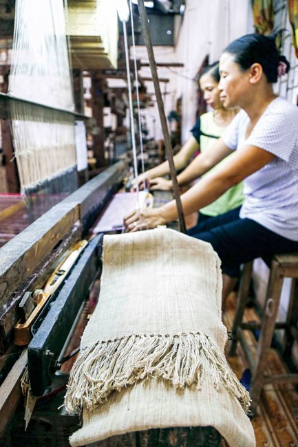 Dệt ước mơ với tơ sen ảnh 2