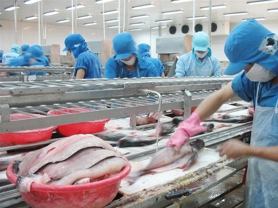 Tận dụng các FTA để tránh ảnh hưởng của cuộc chiến thương mại Mỹ - Trung ảnh 1