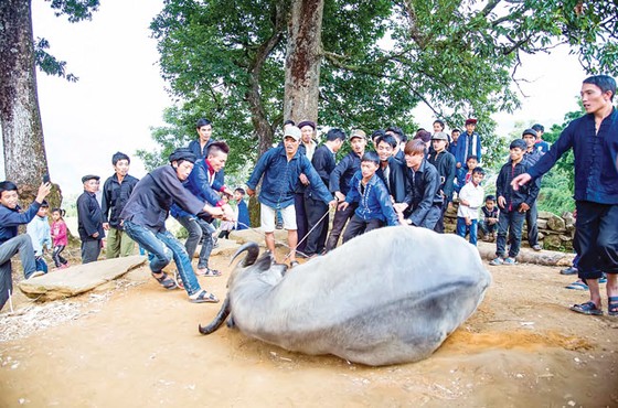 Y Tý - Cuộc sống bình dị,nhẹ nhàng ảnh 5