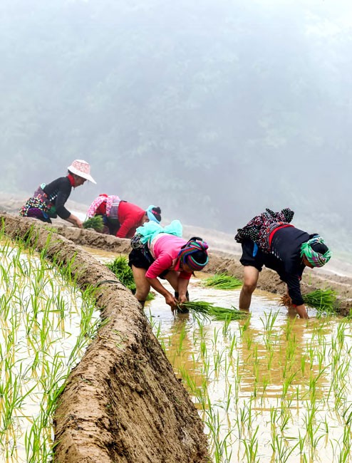 Y Tý - Cuộc sống bình dị,nhẹ nhàng ảnh 12