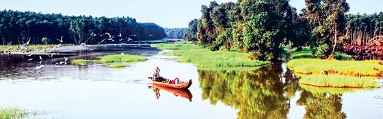 Ốc đảo thiên nhiên Gáo Giồng ảnh 1