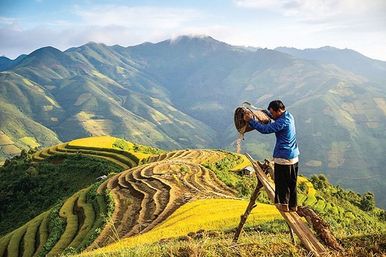 Mùa no ấm trên quê hương A Phủ ảnh 4