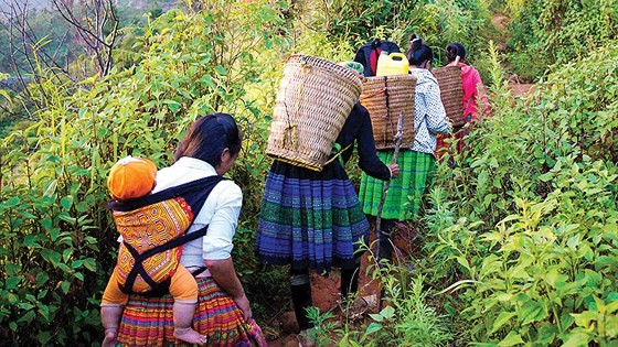 Mùa no ấm trên quê hương A Phủ ảnh 2