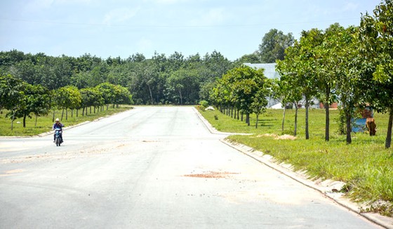 Bất động sản vùng ven TPHCM: Bình Dương - Đìu hiu thành phố mới ảnh 1