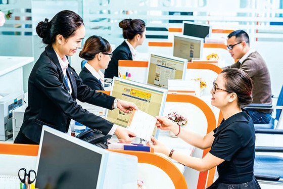 Cơ cấu huy động bằng vốn ngoại ảnh 1