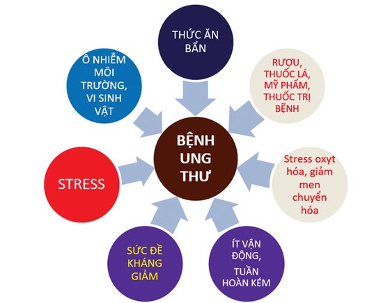 Để ung thư không là “dấu chấm hết” ảnh 1