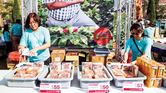 Thâm nhập “thủ phủ” sâm Mỹ ảnh 6
