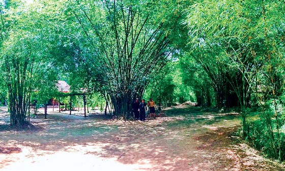 Bình mới, rượu vẫn cũ ảnh 1