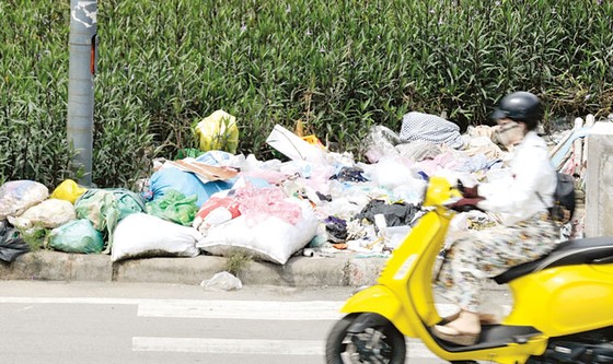 Rác thải làm bẩn môi trường sống ảnh 1