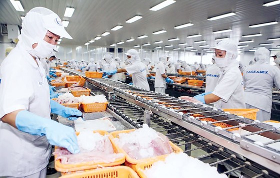 Thủy sản cần chiến lược dài hơi ảnh 1