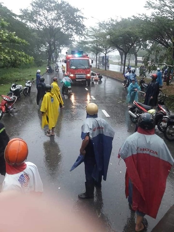 TPHCM mưa lớn, cây xanh bật gốc ngã đè người đi đường tử vong ảnh 1