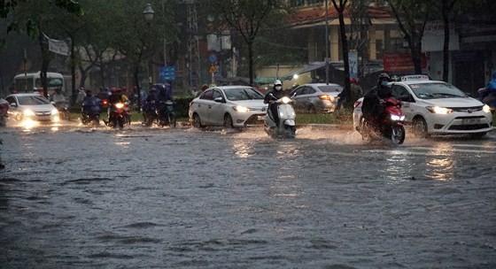 TPHCM mưa lớn, cây xanh bật gốc ngã đè người đi đường tử vong ảnh 3