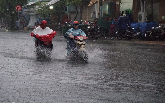 TPHCM mưa lớn, cây xanh bật gốc ngã đè người đi đường tử vong ảnh 7